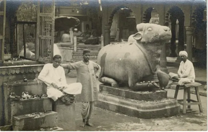 nandi 