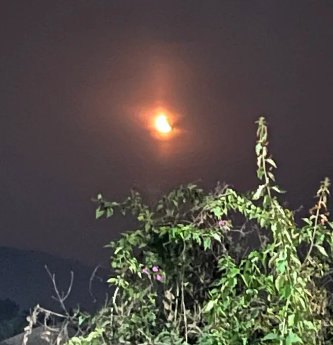 chandranepal 