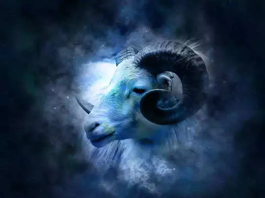 aries 96521691 