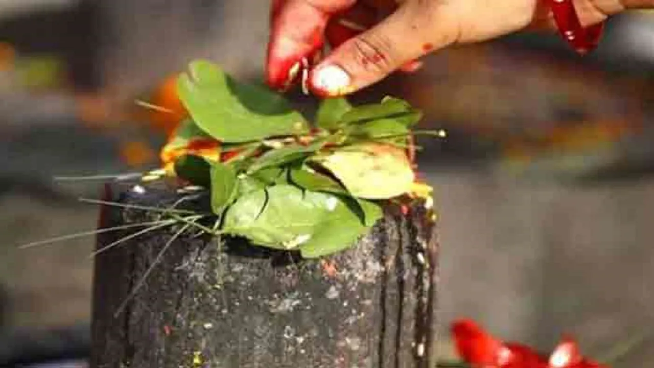 shivling45 