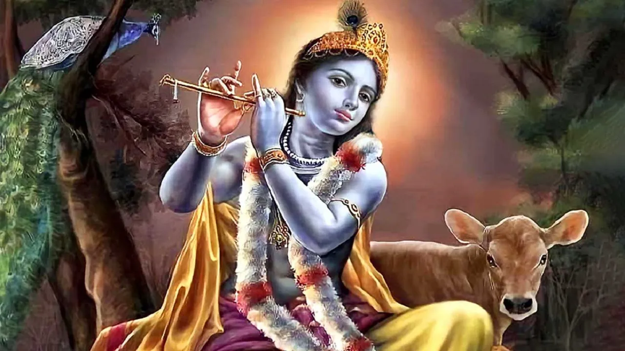 krishna 