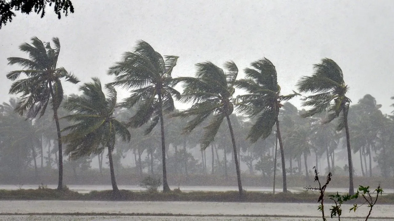 monsoon 