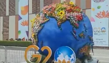 G20 