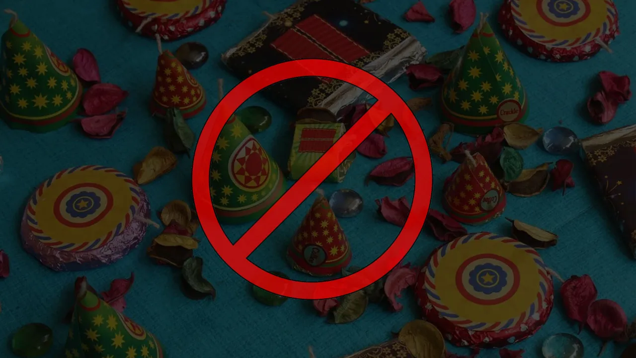 पटाखों पर बैन 