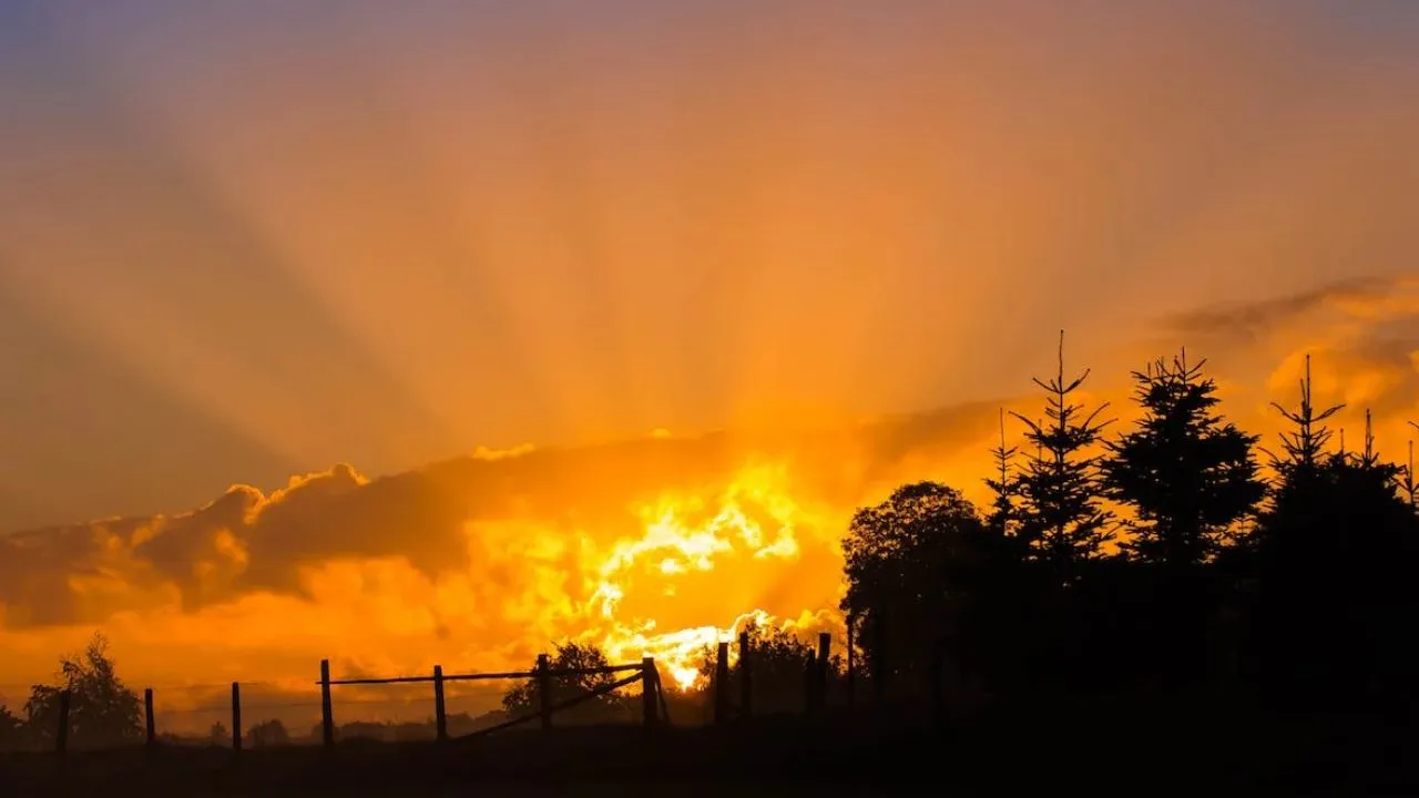 Benefits of getting up in the morning