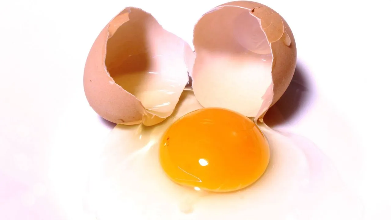 eggs 