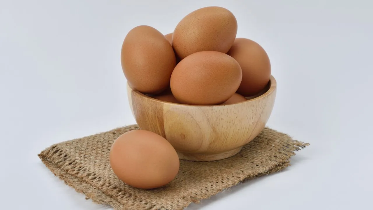 High quality natural fat