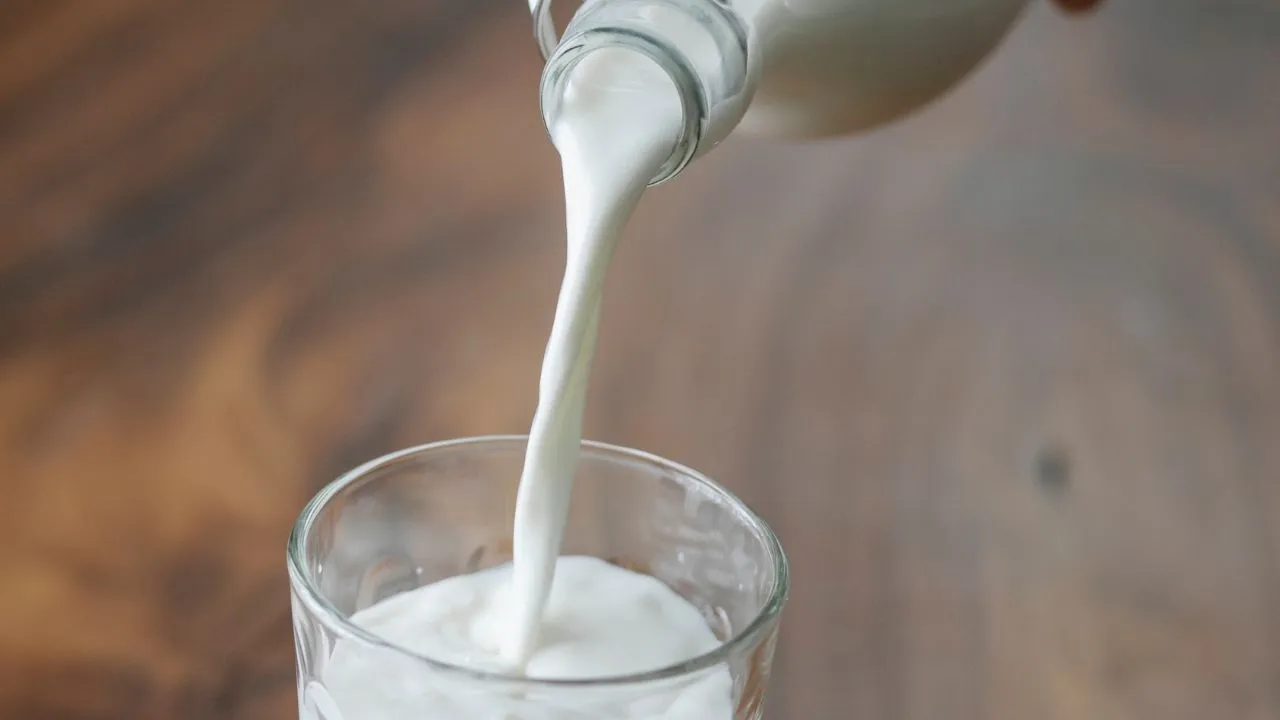 milk 