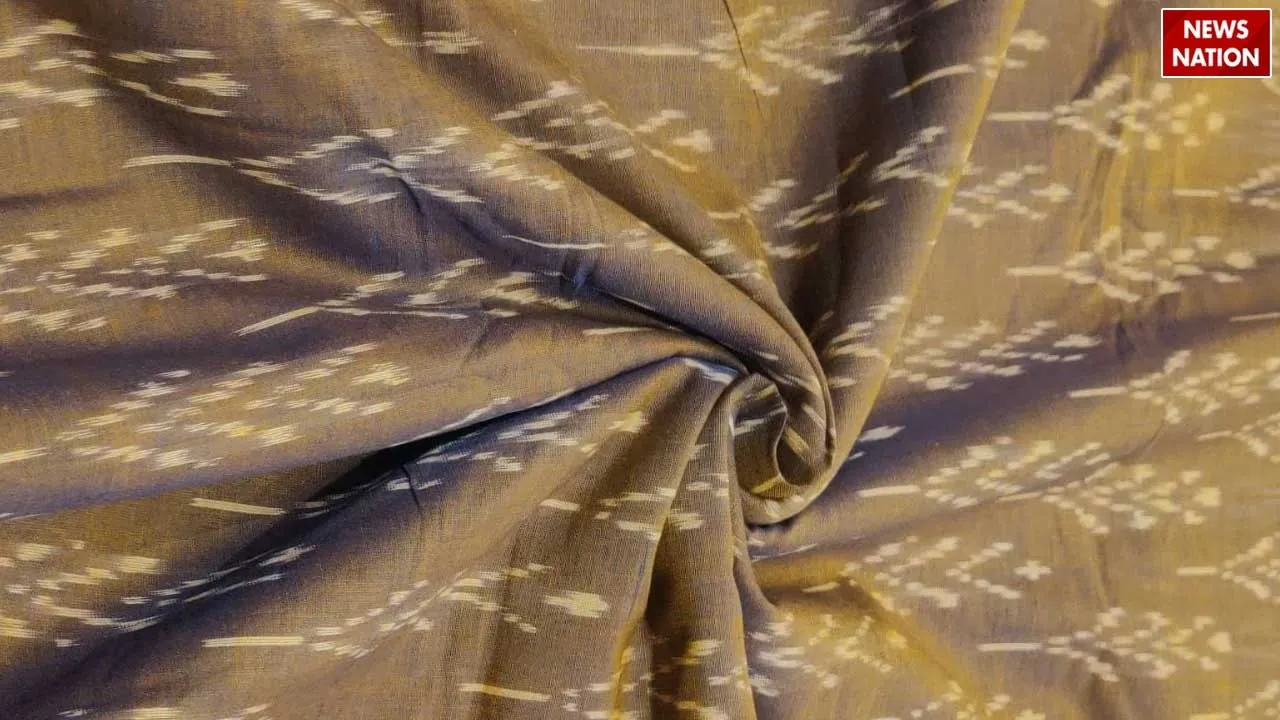3  Pochampally Ikat 