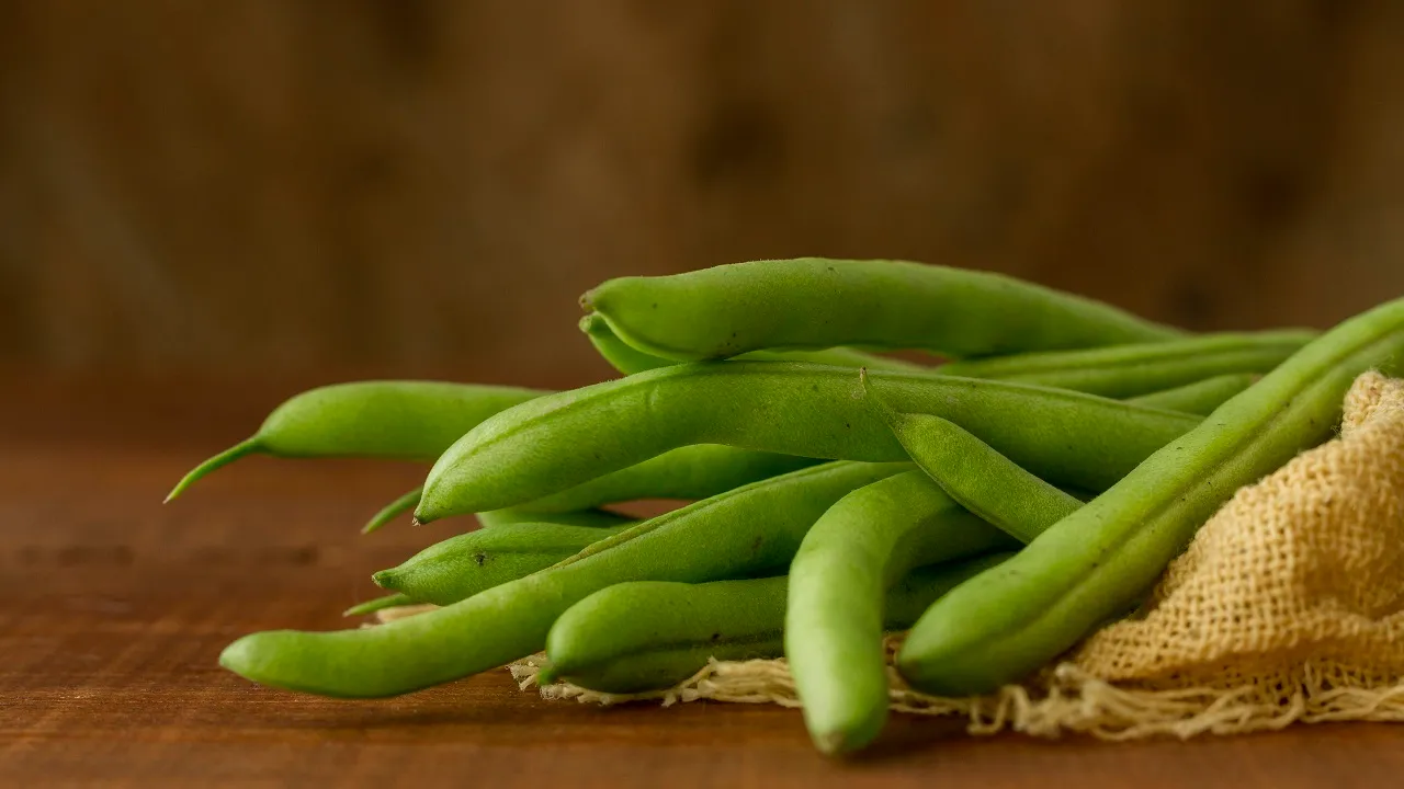 5  Beans 