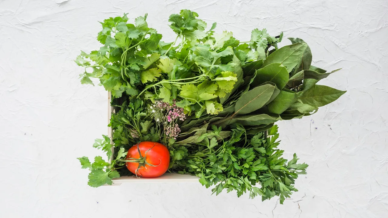 6  Green Leafy Vegetables 