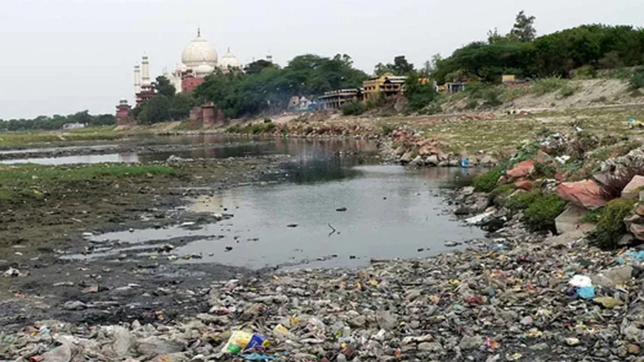 yamuna  polluted river 