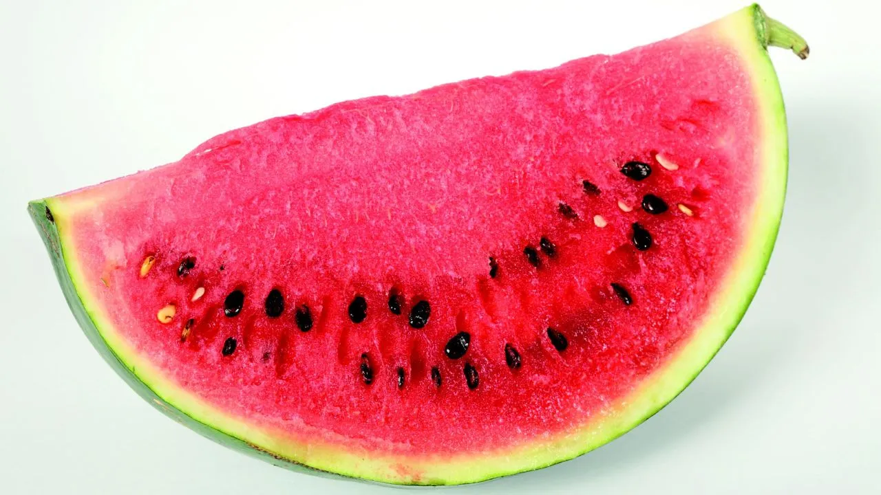 watermelon