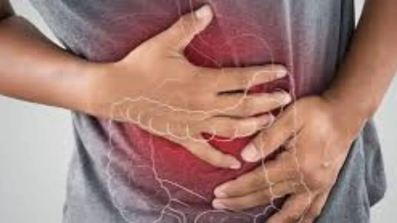 digestive 
