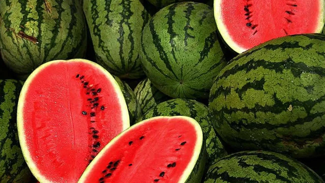 Watermelon  