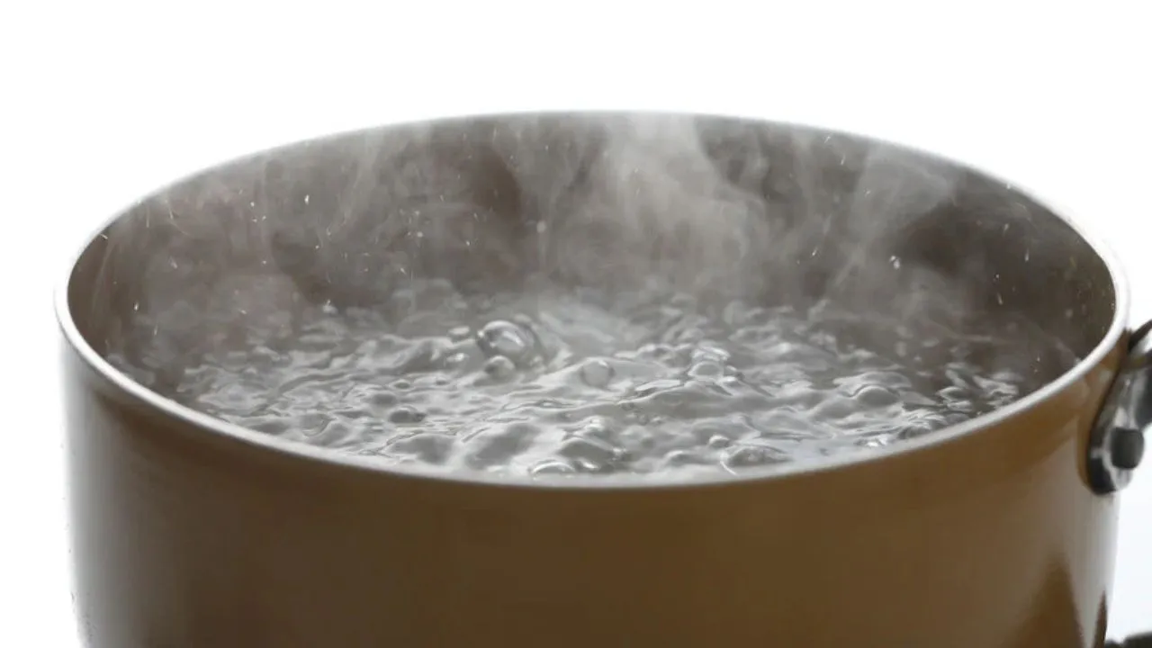boil water   