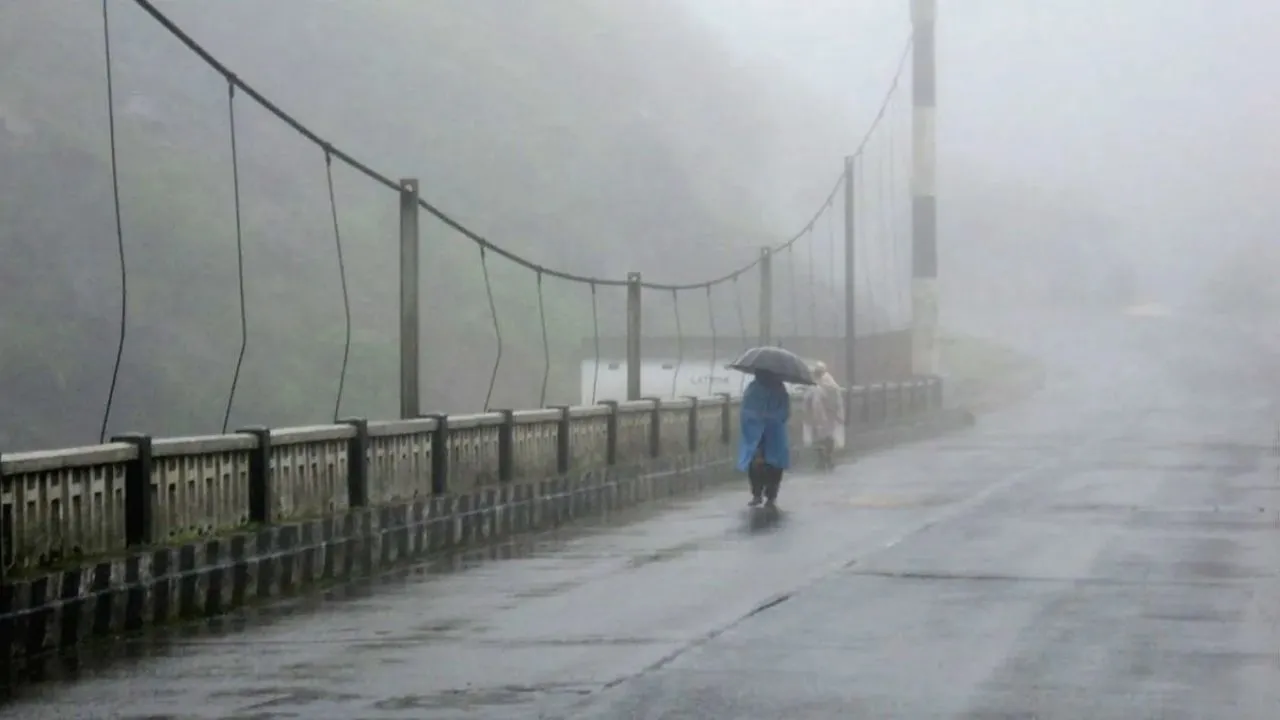 rain 