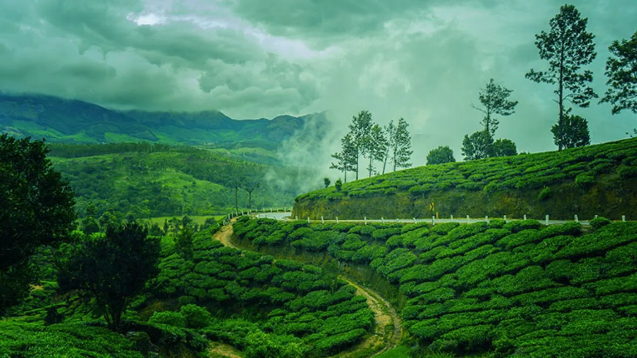 munnar 