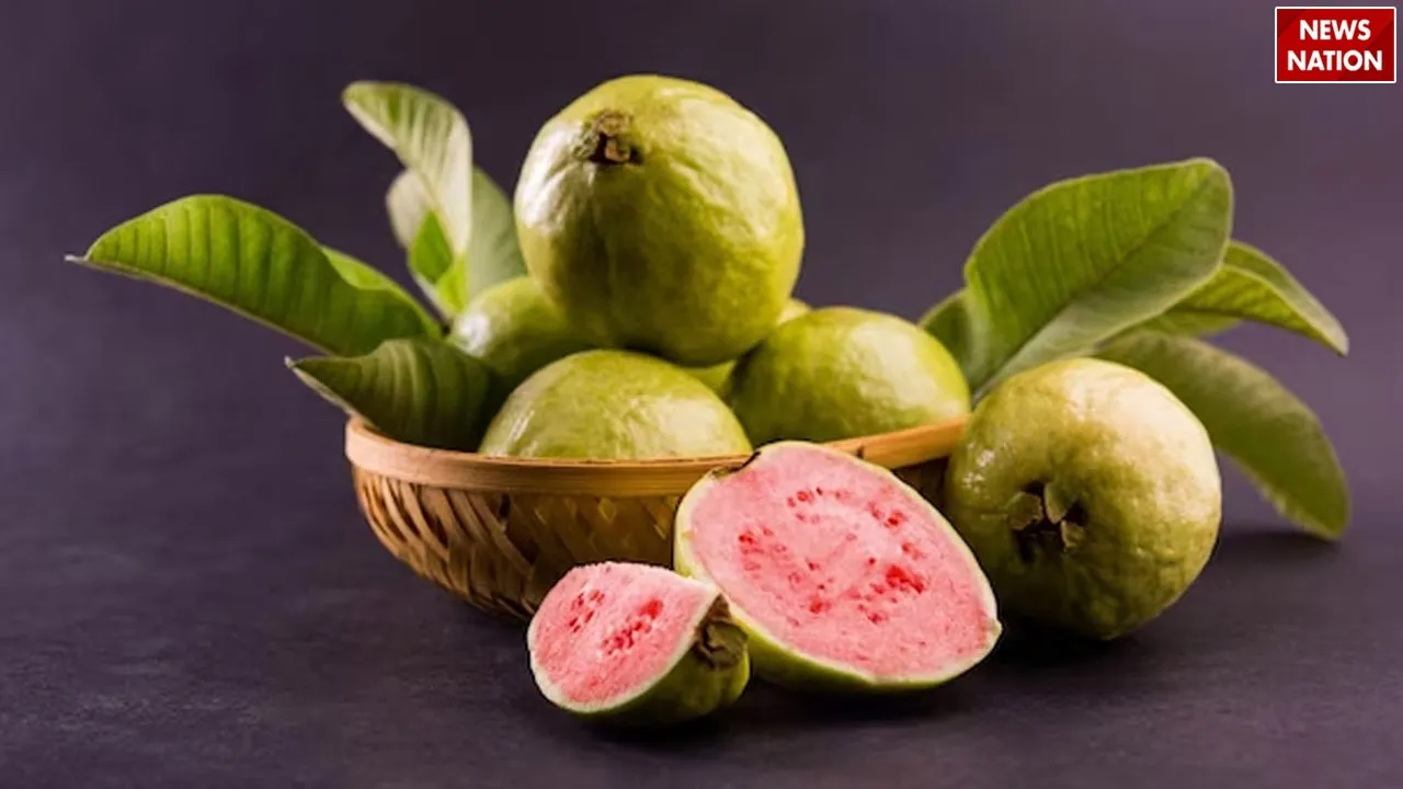 guava 