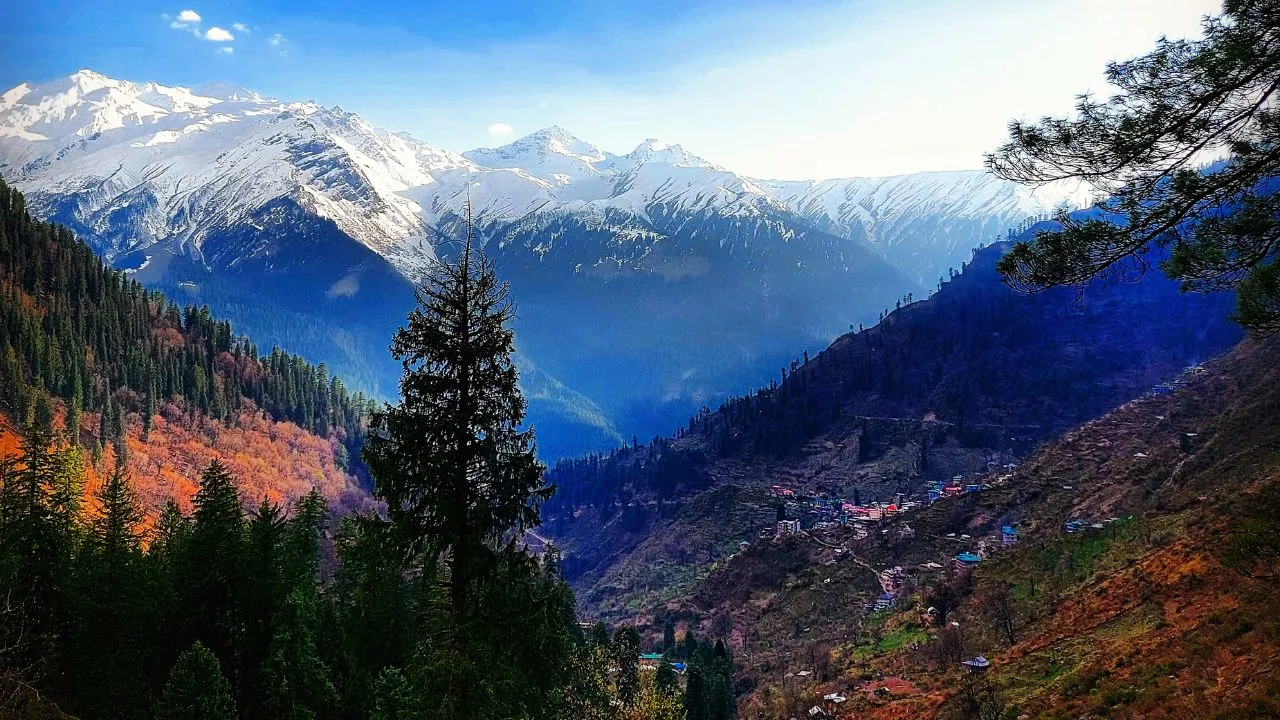 kasol 