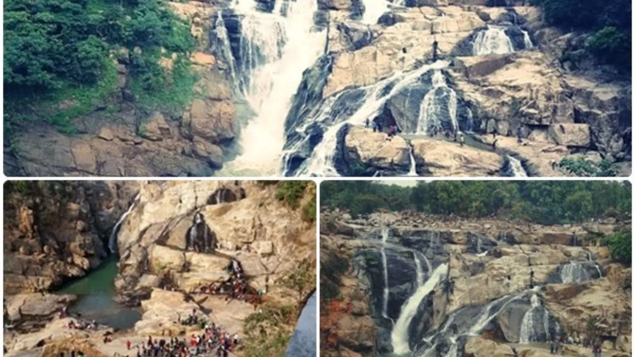 dasham fall 