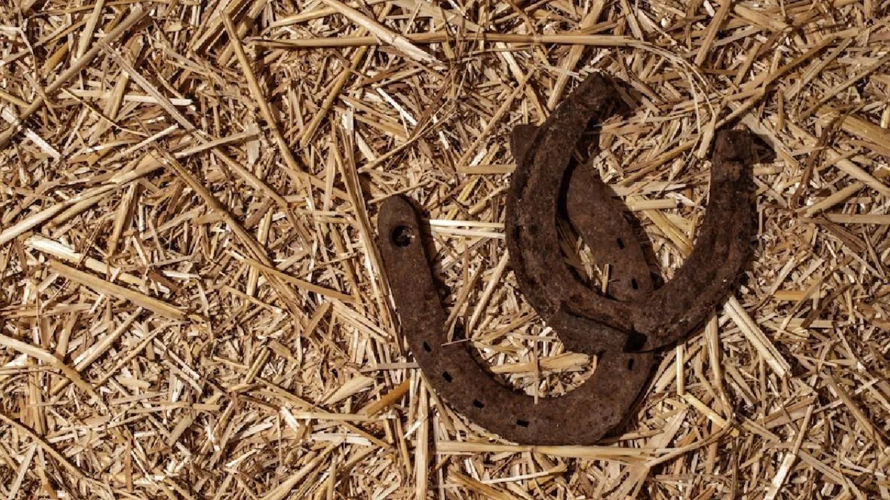 The secret of the horseshoe 