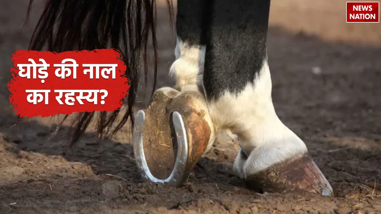 The secret of the horseshoe 