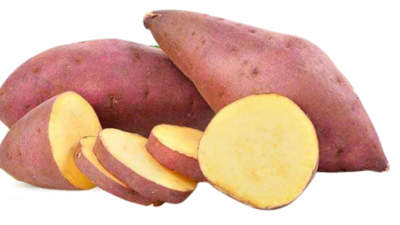 sweet potato 