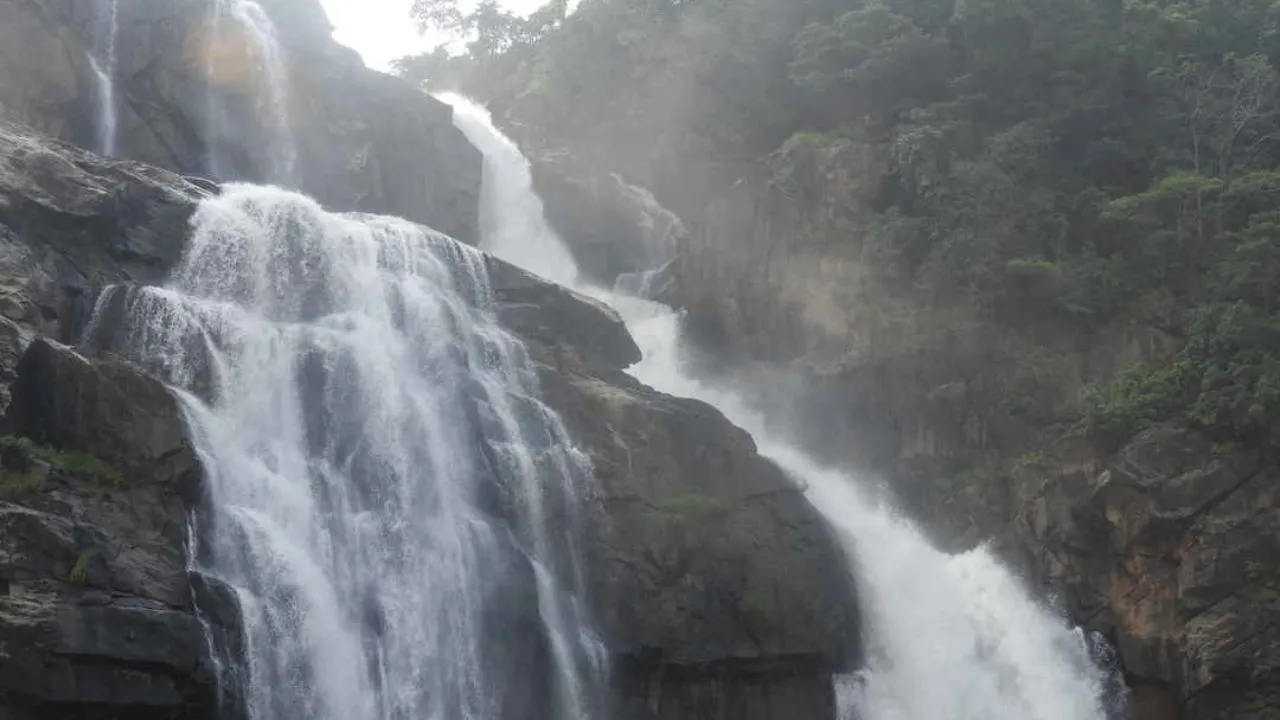 dasham fall 
