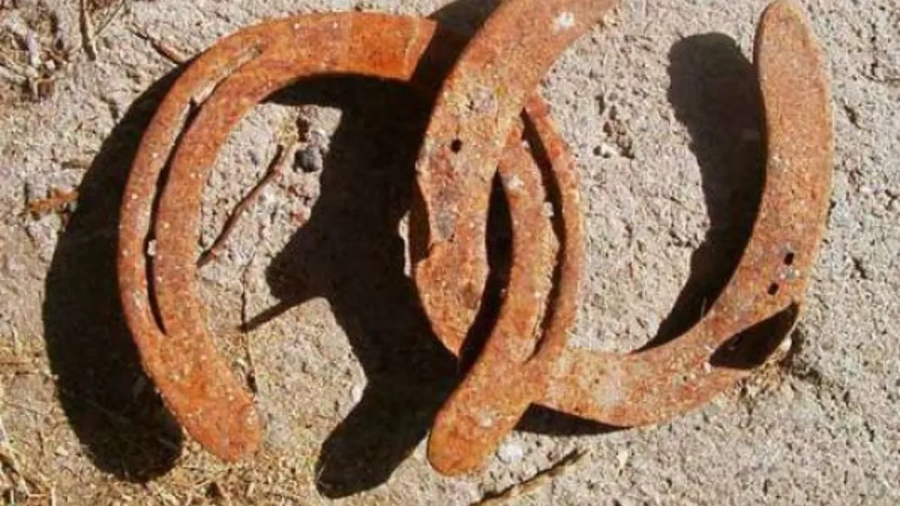 The secret of the horseshoe