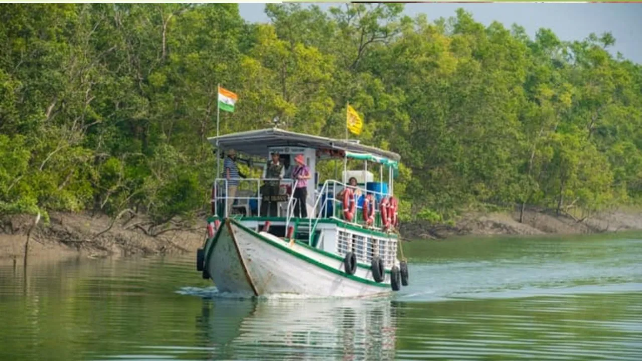 sunderban 