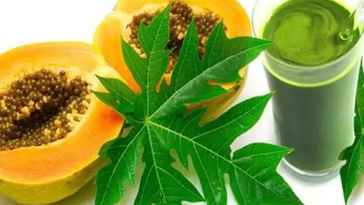papaya 