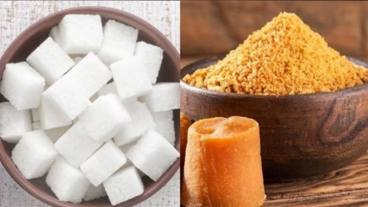 SUGAR JAGGERY 