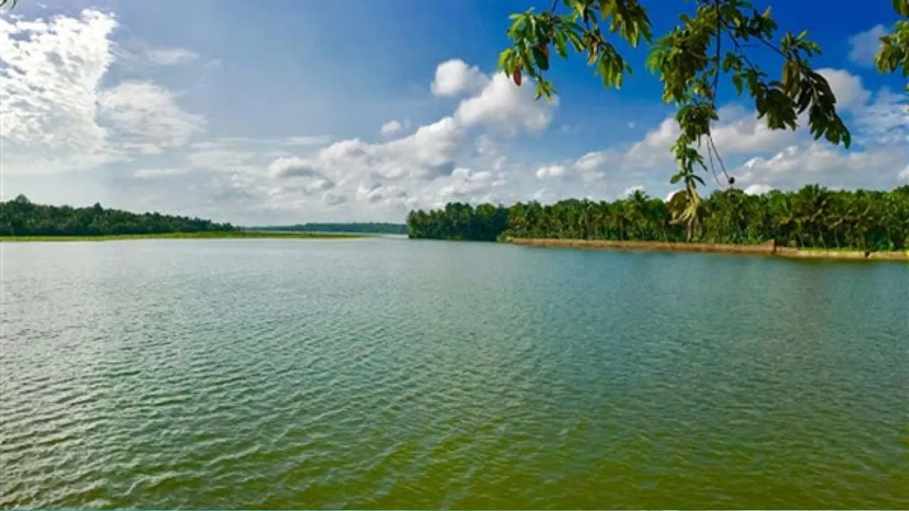 Vellayani Lake 