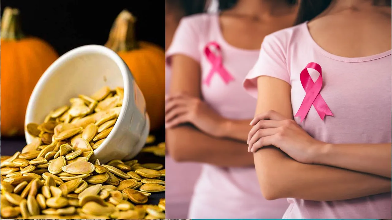 Causes Of Breast Cancer   