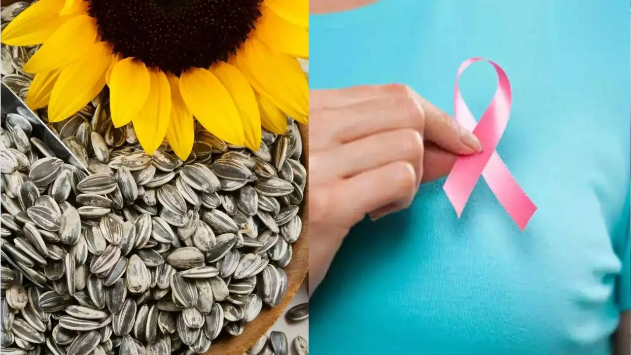 Causes Of Breast Cancer   