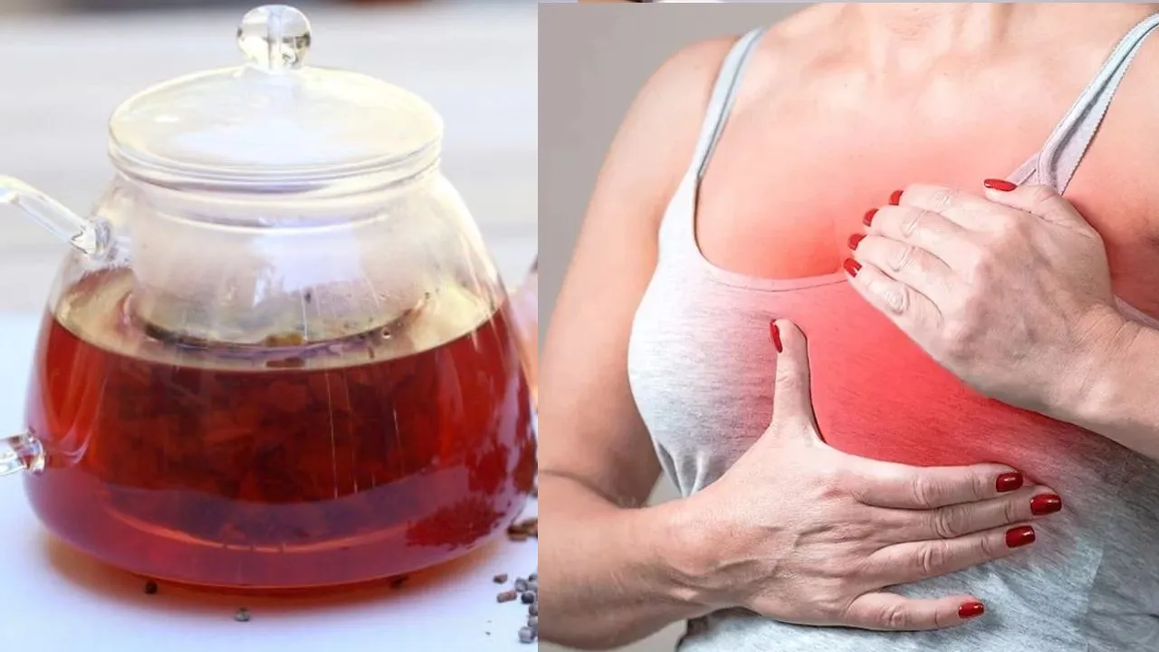 Causes Of Breast Cancer  