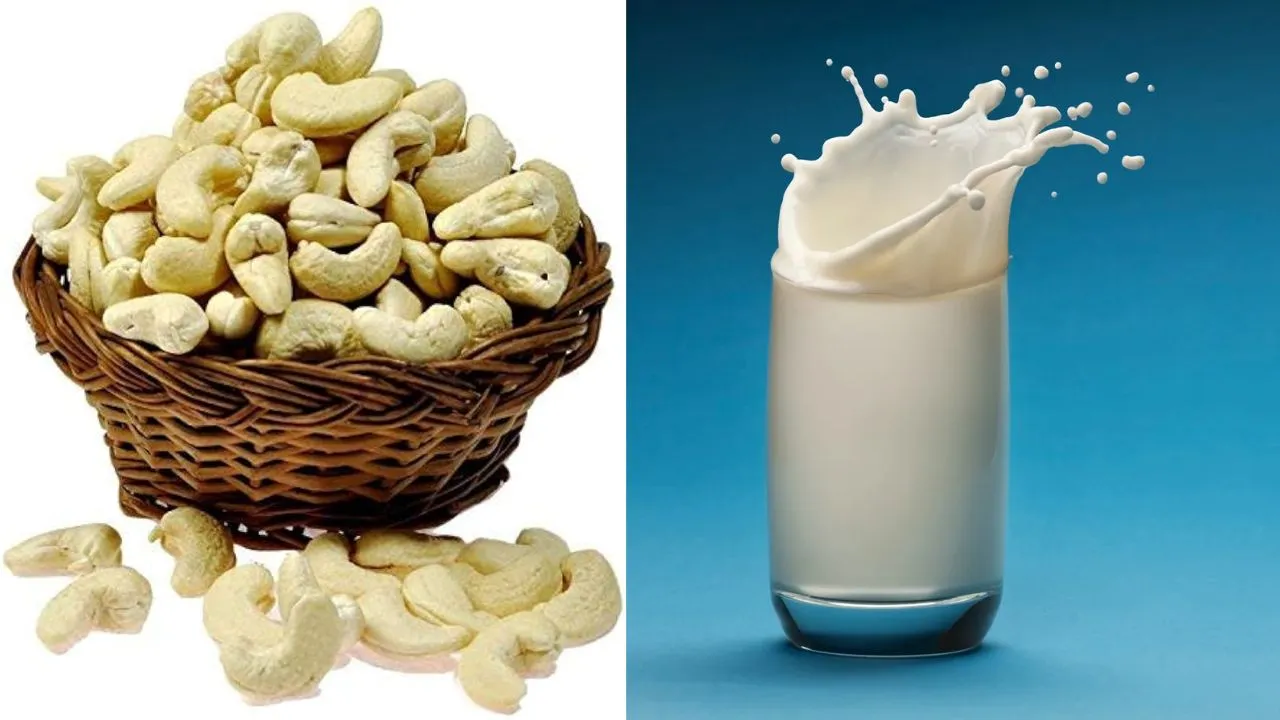 dry fruits