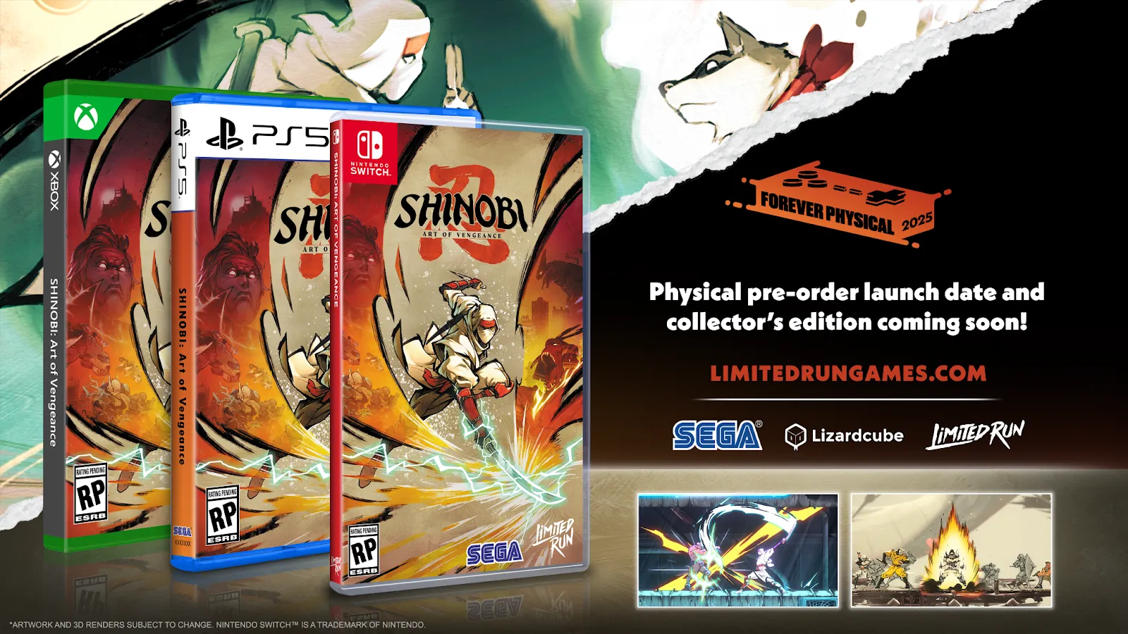 SHINOBI: Art of Vengeance