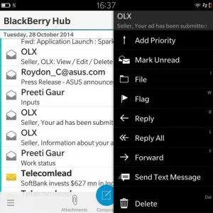 Blackberry-Hub