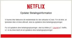 Figure 2. Screenshot of the Netflix spam email