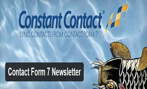 contact-form