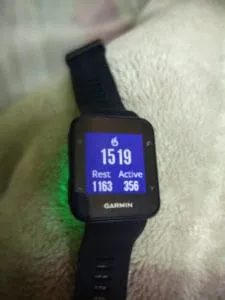 garmin