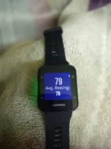 garmin