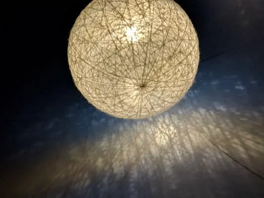 publive-image