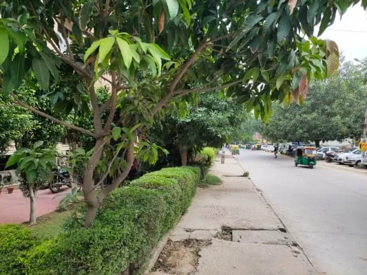 Vivo Z1x Camera Review