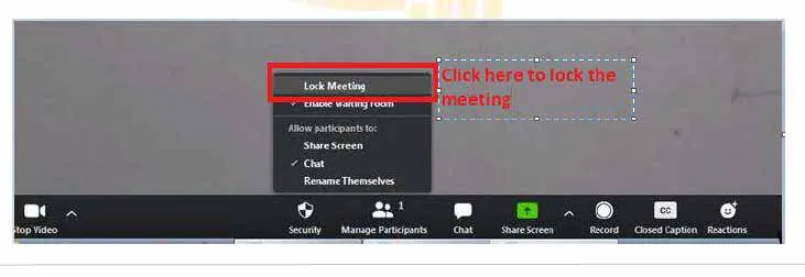 Zoom Security Configuration Through App