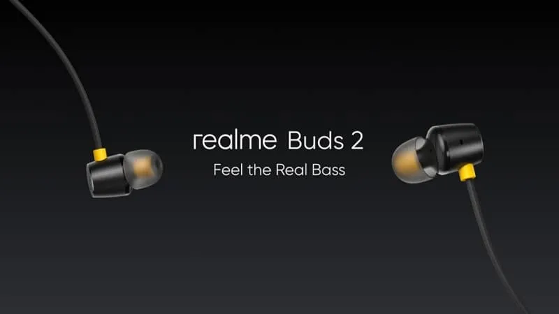 Earphones