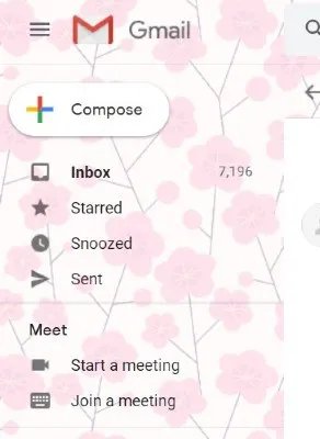 Google Meet Review