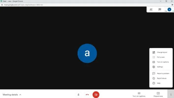Google Meet Review